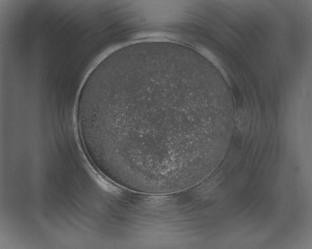 X0000074971482200609011203