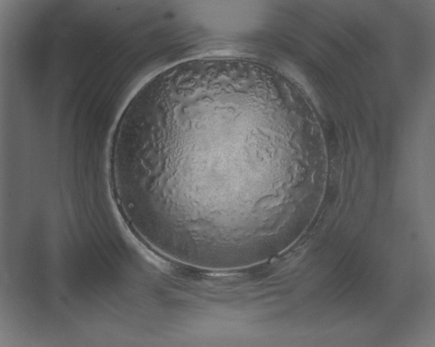 X0000074971483200609011203