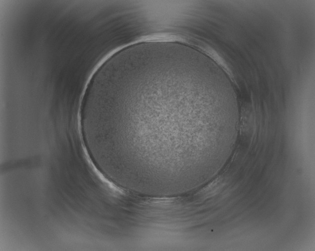 X0000074971484200609011203