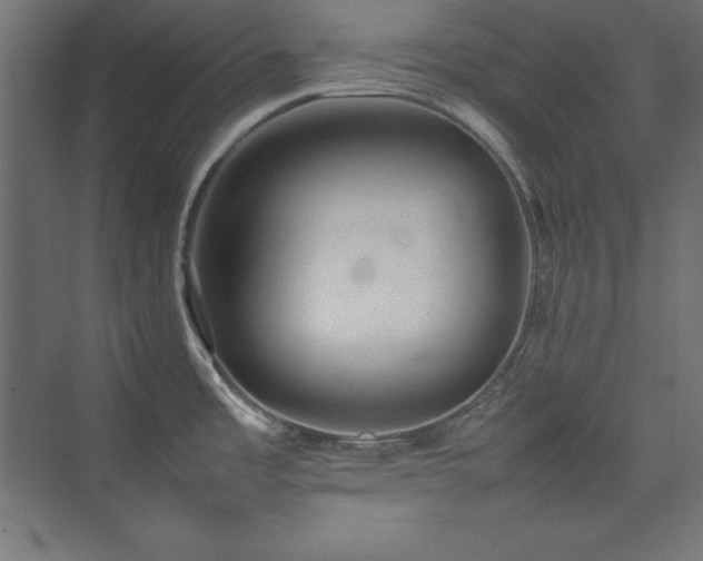 X0000074971485200609011203