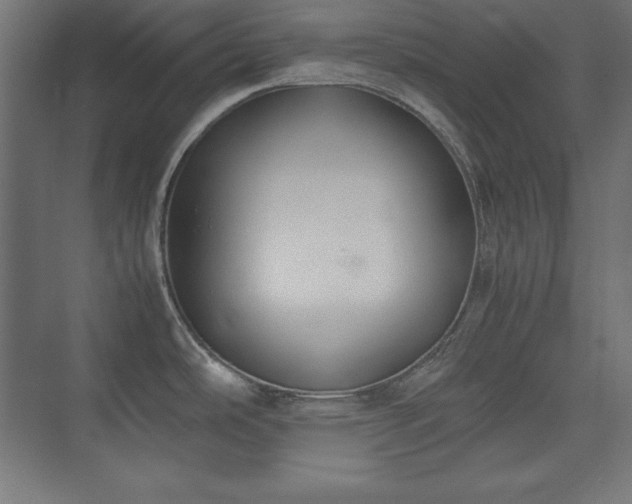 X0000074971486200609011203