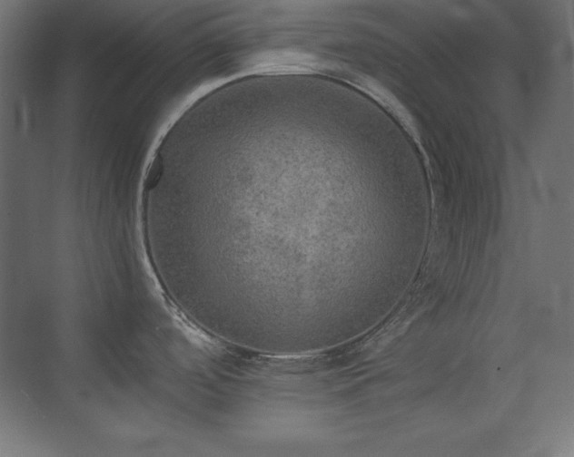 X0000074971488200609011203