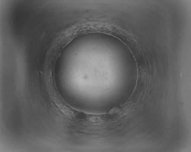 X0000074971489200609011202