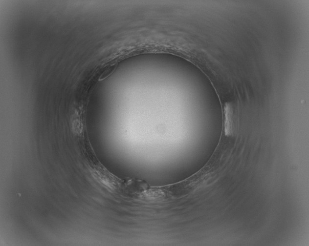 X0000074971491200609011202