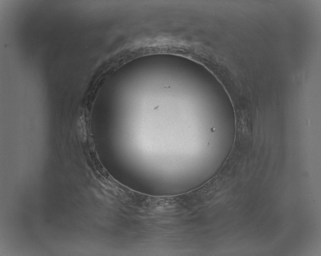 X0000074971493200609011202