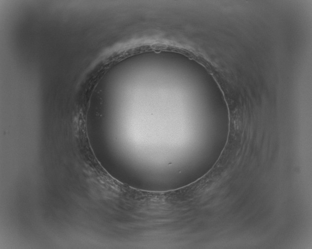 X0000074971495200609011202