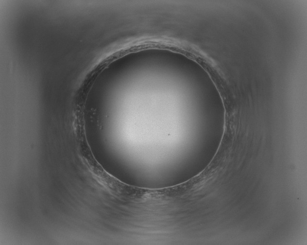 X0000074971496200609011202