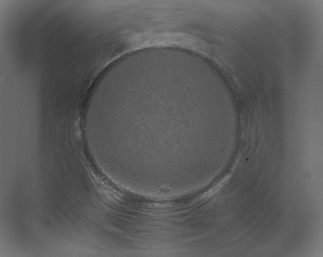 X0000074971497200609011202