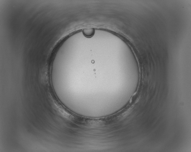 X0000074971498200609011202