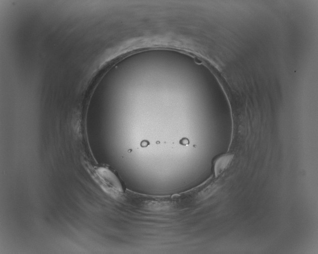 X0000074971499200609011202