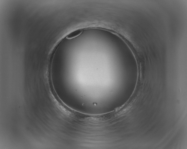 X0000074971500200609011202