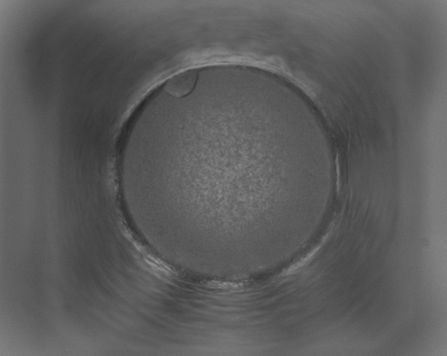 X0000074971501200609011202