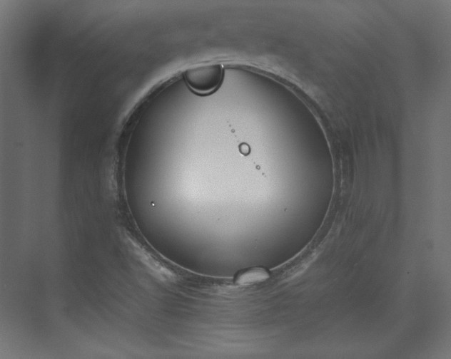 X0000074971502200609011202