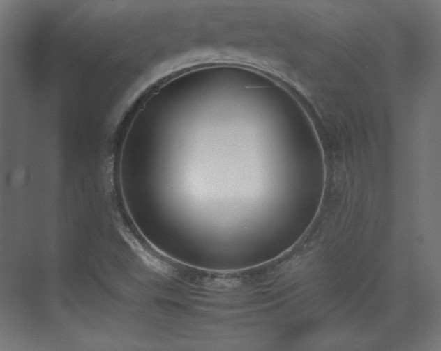 X0000074971503200609011202