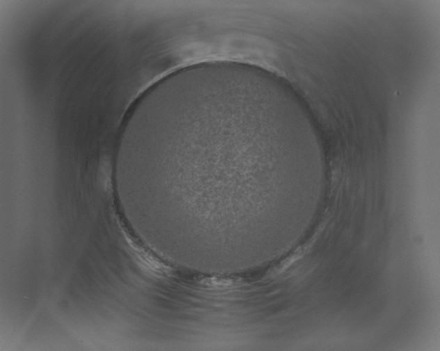 X0000074971505200609011202