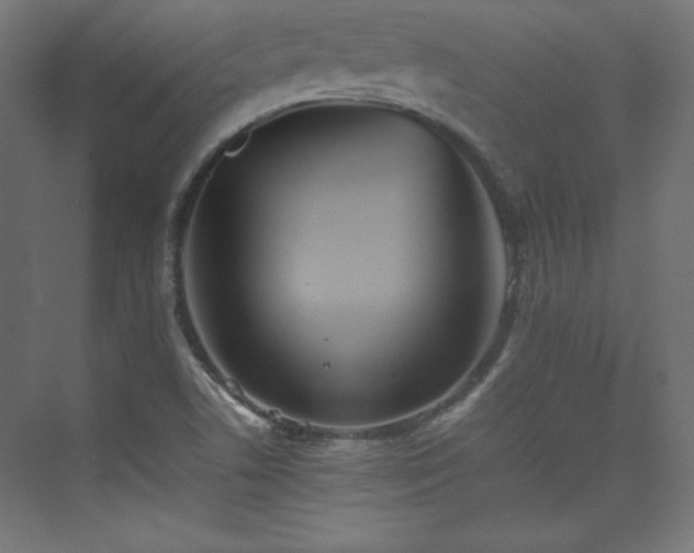 X0000074971506200609011202