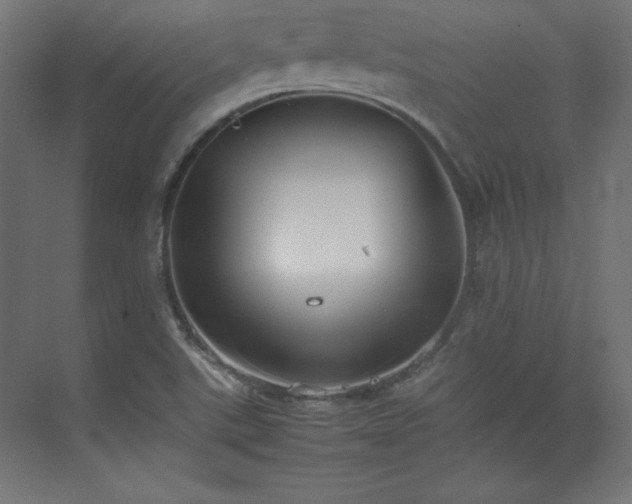 X0000074971507200609011202