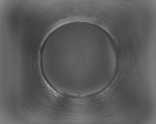 X0000074971508200609011202