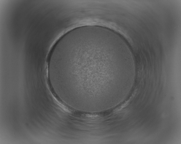 X0000074971509200609011202