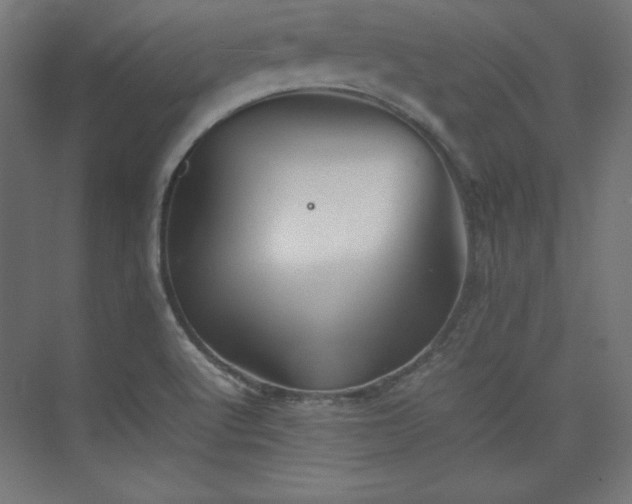 X0000074971512200609011202