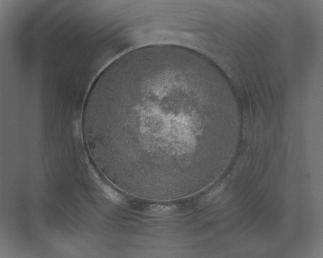 X0000074971513200609011202