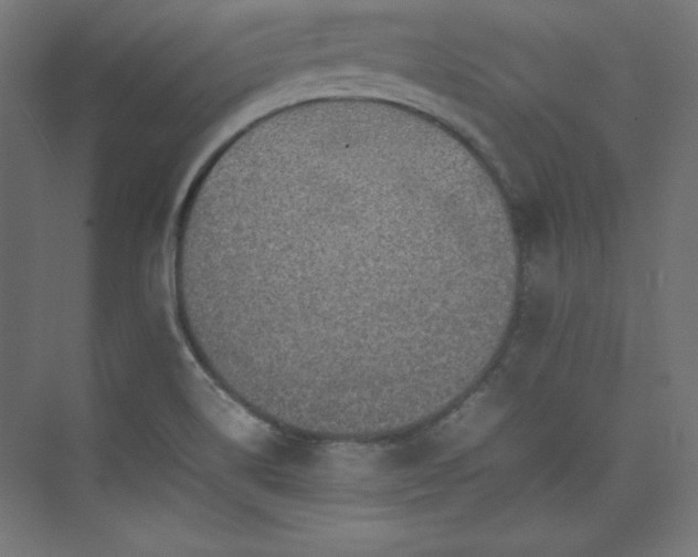 X0000074971514200609011202