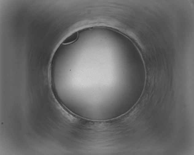 X0000074971516200609011202