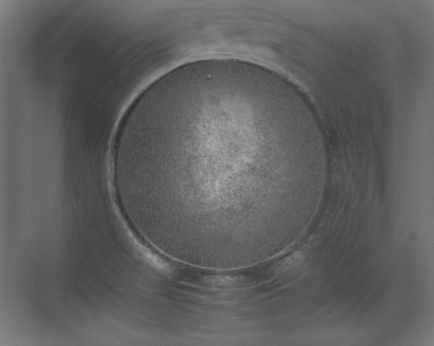 X0000074971517200609011202