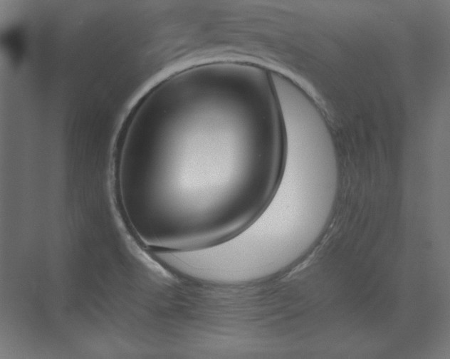 X0000074971518200609011202