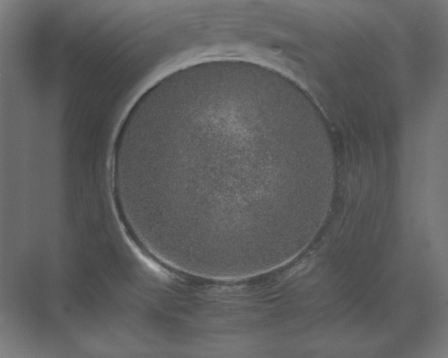 X0000074971519200609011202