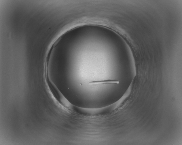 X0000074971520200609011202