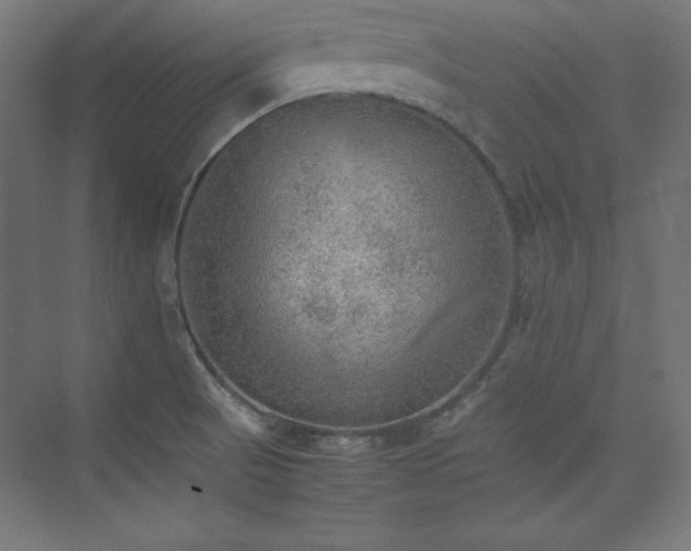 X0000074971521200609011202