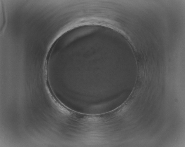 X0000074971522200609011202