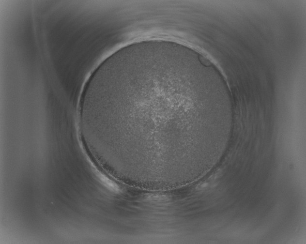 X0000074971525200609011202