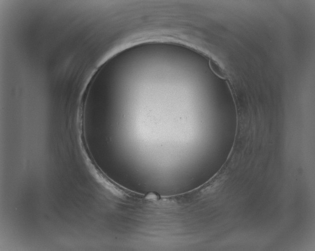 X0000074971526200609011202