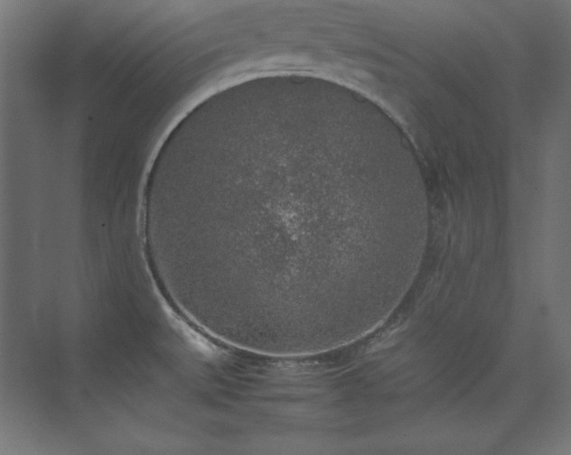 X0000074971527200609011202