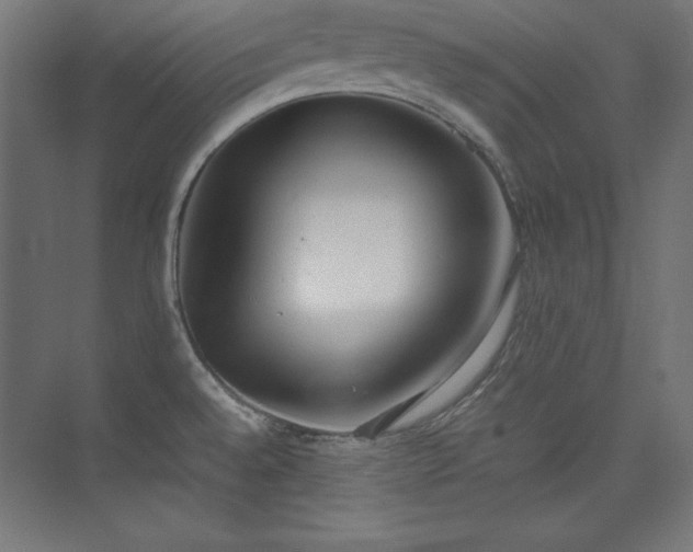 X0000074971528200609011202