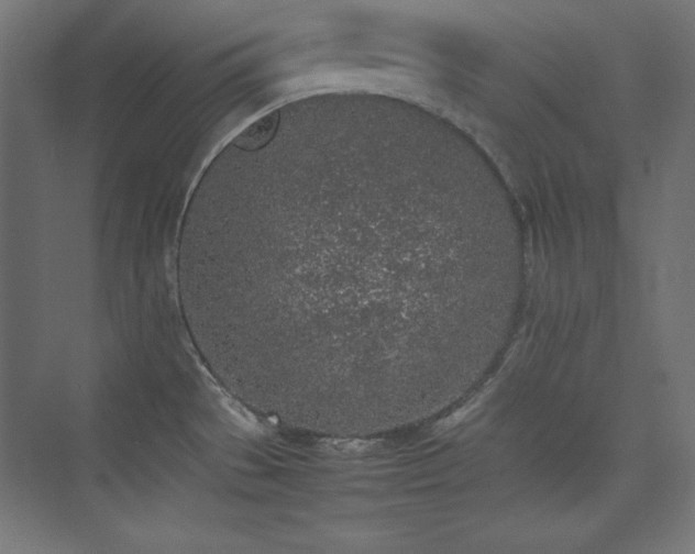 X0000074971529200609011202