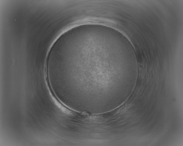 X0000074971531200609011202