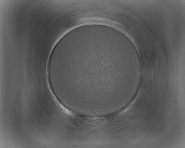 X0000074971533200609011203