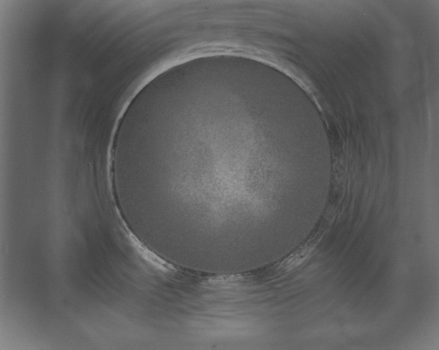 X0000074971535200609011203