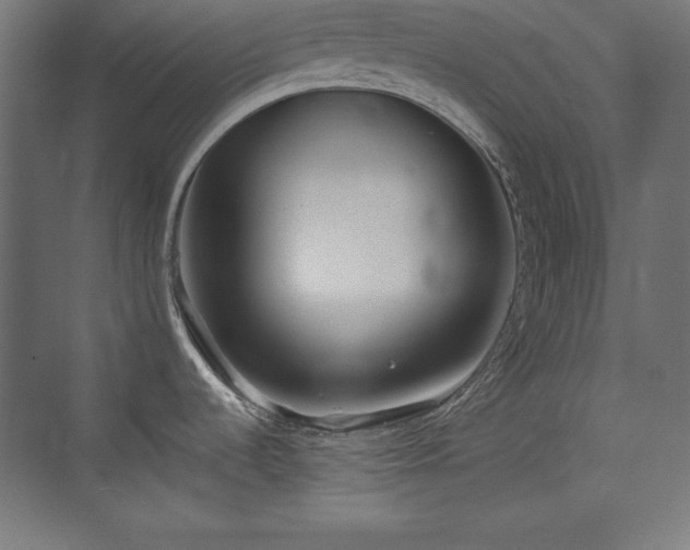 X0000074971536200609011203