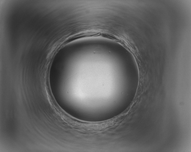 X0000074970001200609081423