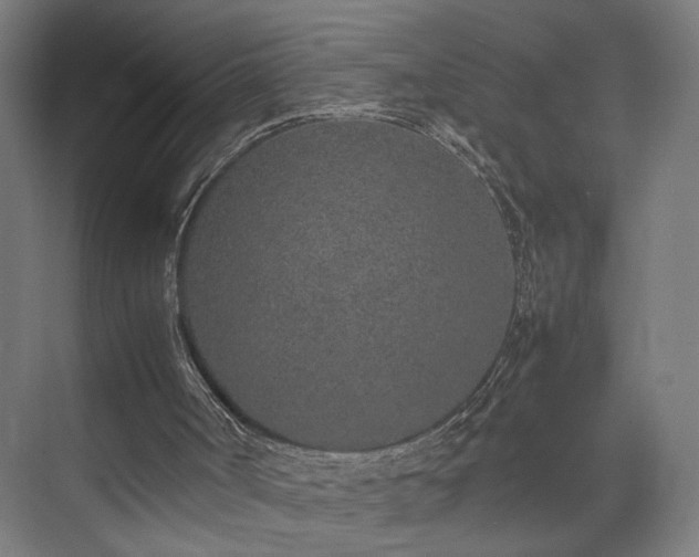 X0000074970002200609081423