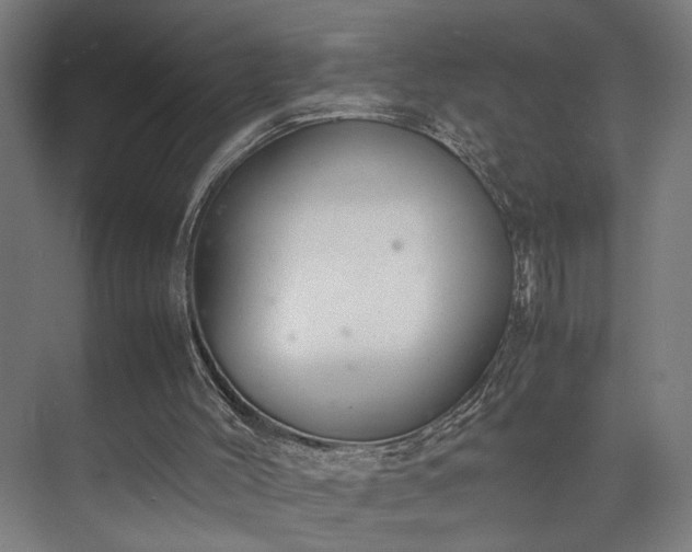 X0000074970004200609081423