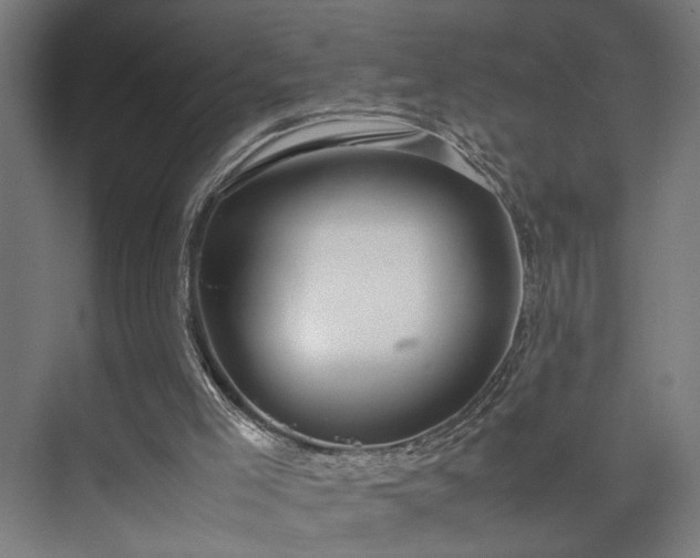 X0000074970005200609081423