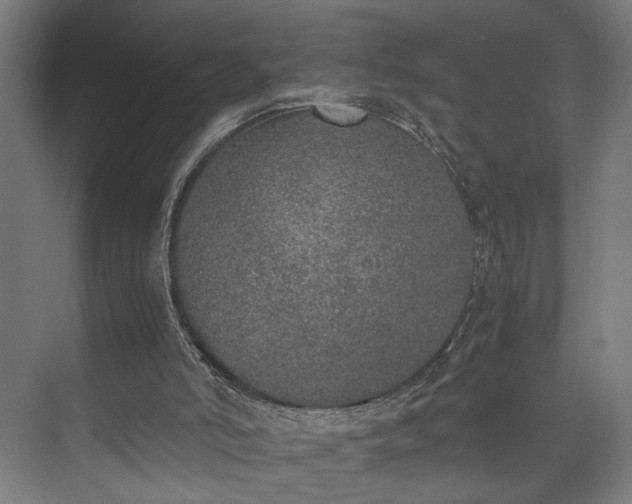 X0000074970006200609081423