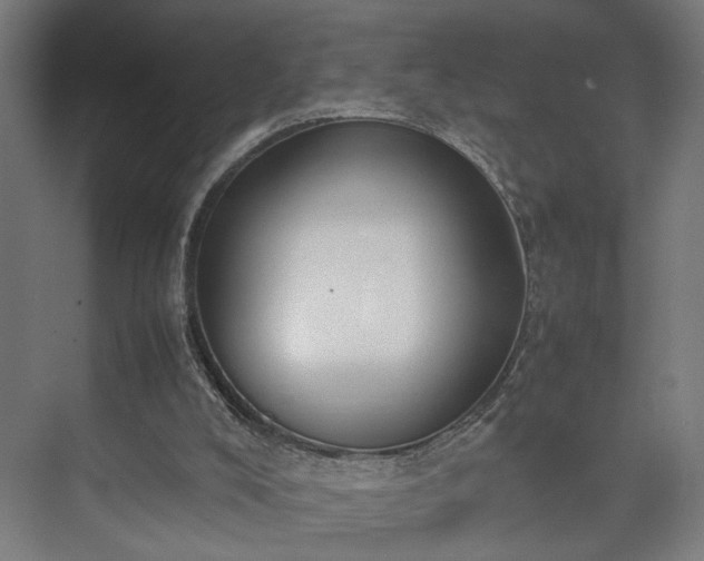 X0000074970008200609081423