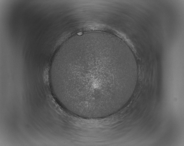 X0000074970010200609081423