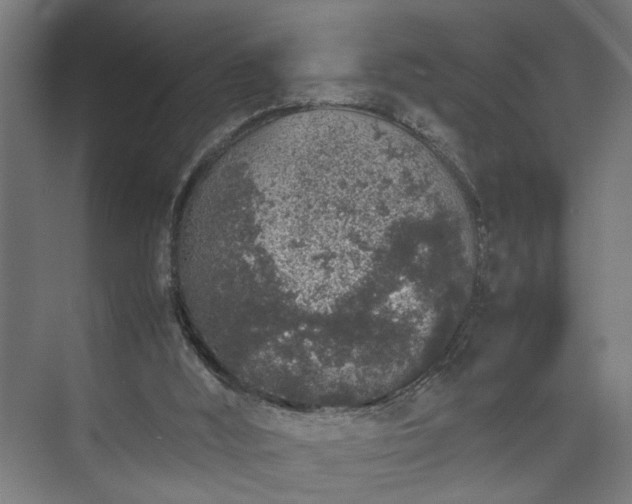 X0000074970012200609081423